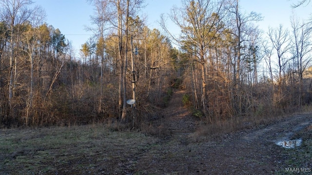 Listing photo 3 for 2301 Harris Rd, Russellville AL 35653