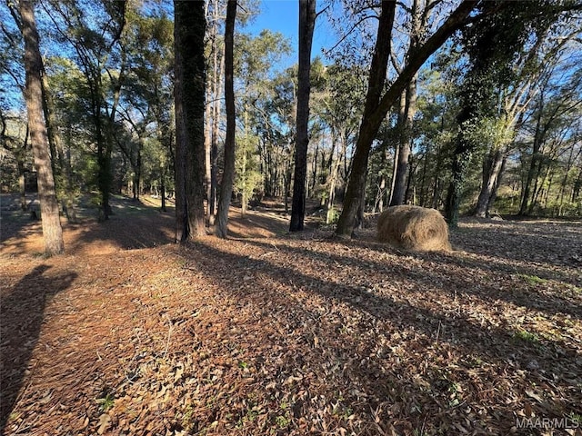 view of nature