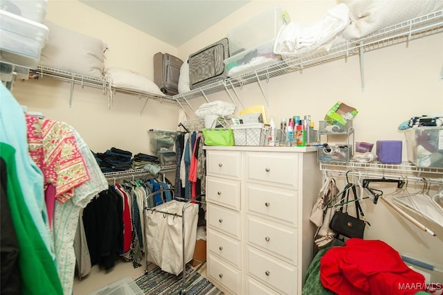 view of spacious closet