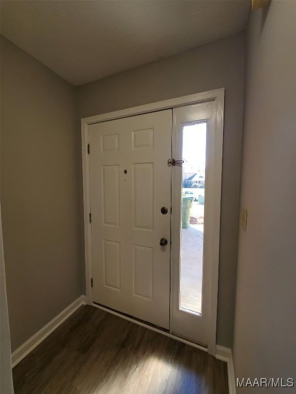 foyer featuring dark wood-type flooring