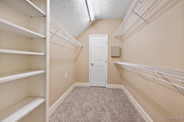 spacious closet featuring carpet floors and lofted ceiling