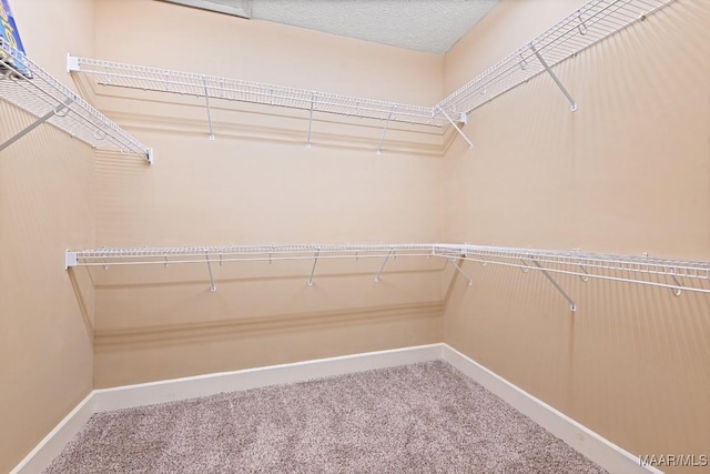 walk in closet with carpet flooring