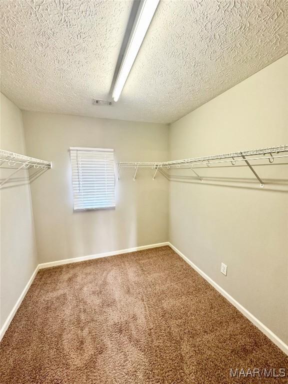 walk in closet featuring carpet flooring