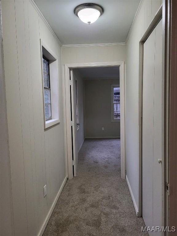 hallway featuring ornamental molding and carpet floors