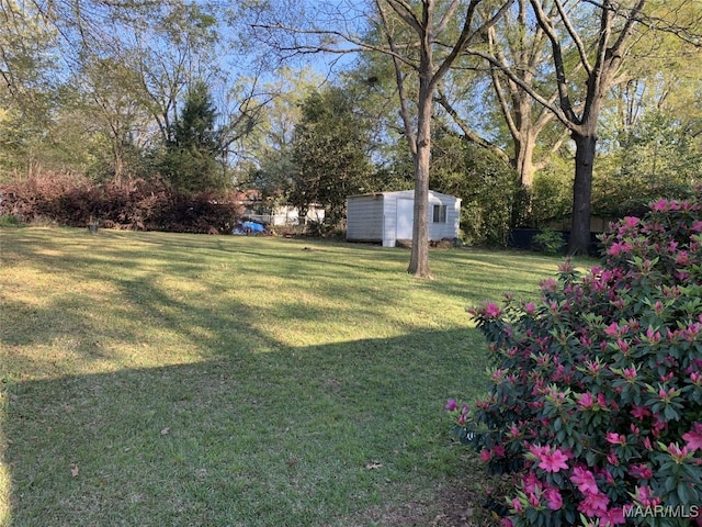 view of yard featuring a storage shed