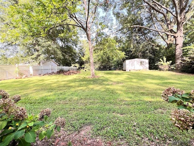 view of yard with a storage shed