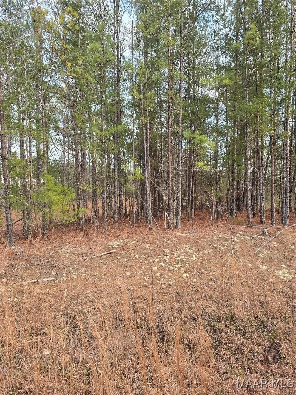 385 County Road 886th Rd, Jemison, AL 35085