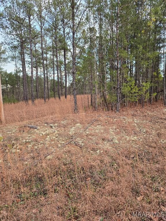 385 County Road 886th Rd, Jemison, AL 35085