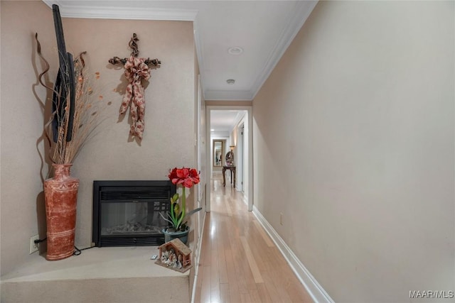 hall with crown molding and hardwood / wood-style floors