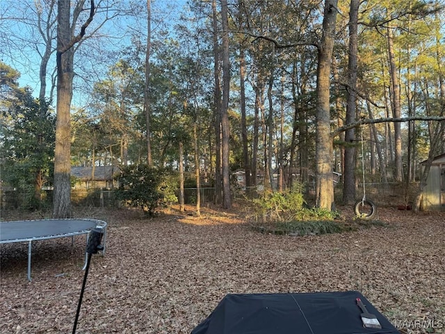 view of yard with a trampoline