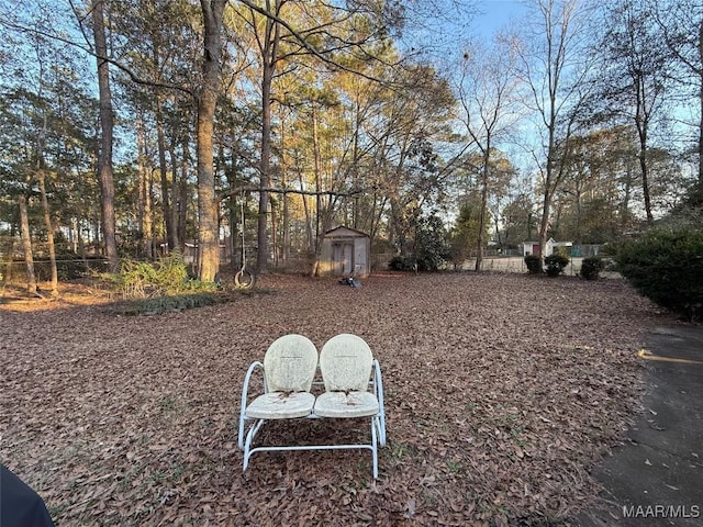 view of yard with a shed