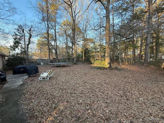 view of yard with a trampoline