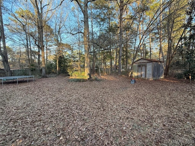 view of yard featuring a trampoline and a storage shed