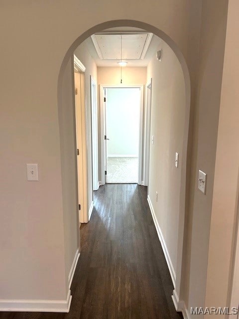 hall with dark wood-type flooring