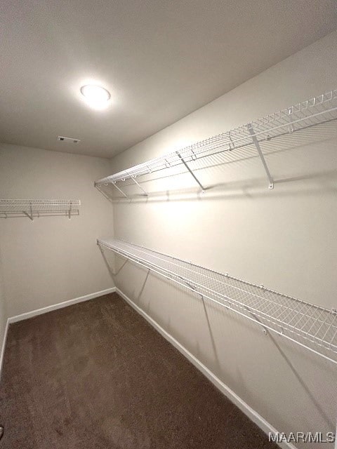 spacious closet with dark colored carpet