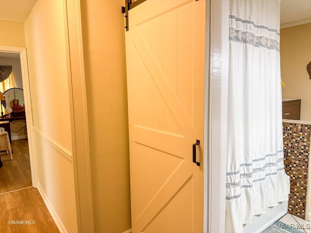 bathroom with hardwood / wood-style floors