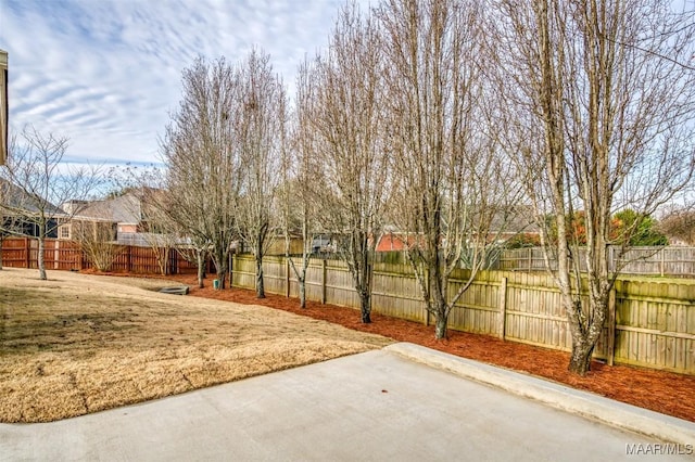 view of yard with a patio area