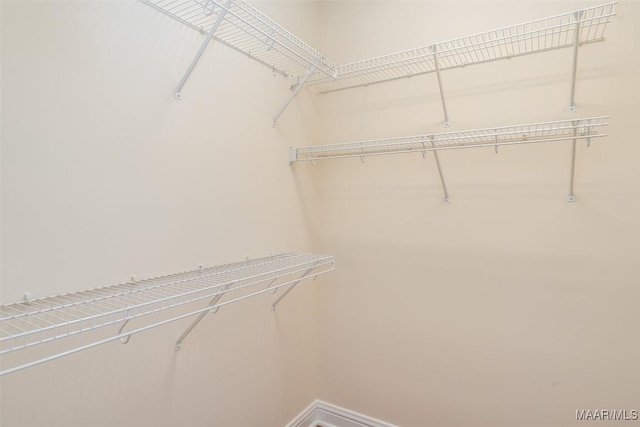 view of spacious closet