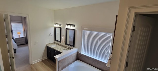 bathroom featuring vanity, a washtub, and wood-type flooring