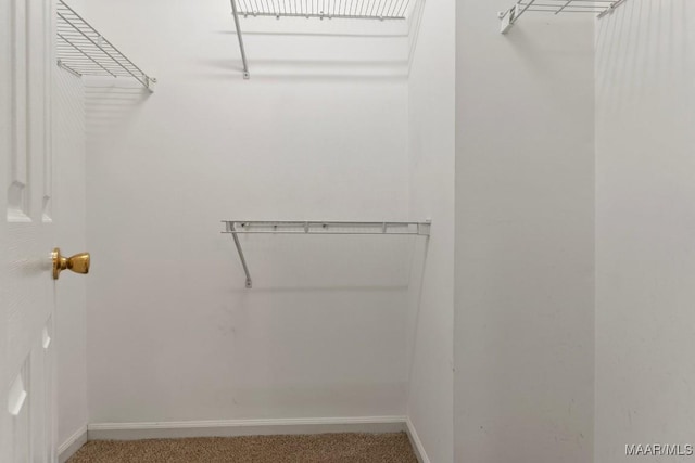 spacious closet with carpet