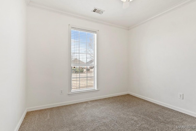 spare room with crown molding, a wealth of natural light, and carpet