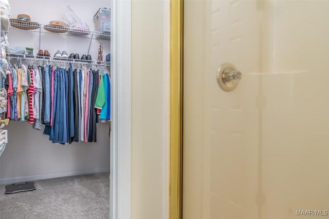 spacious closet featuring carpet