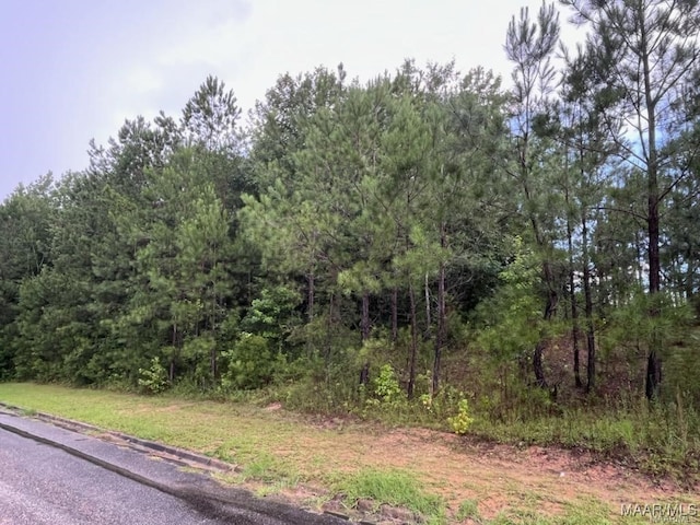 Listing photo 3 for 130 Berridale St, Wetumpka AL 36092