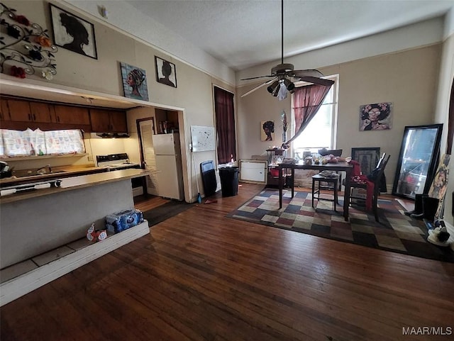 dining space with dark hardwood / wood-style flooring and ceiling fan