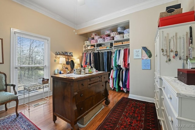 spacious closet featuring light hardwood / wood-style flooring