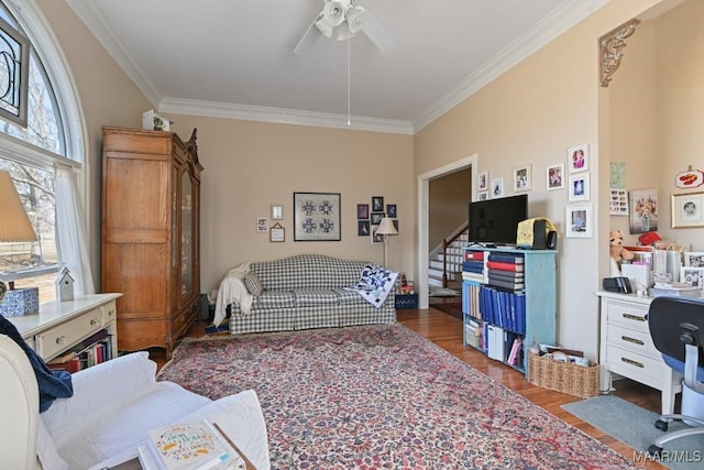 living room featuring dark wood-type flooring, ceiling fan, and ornamental molding