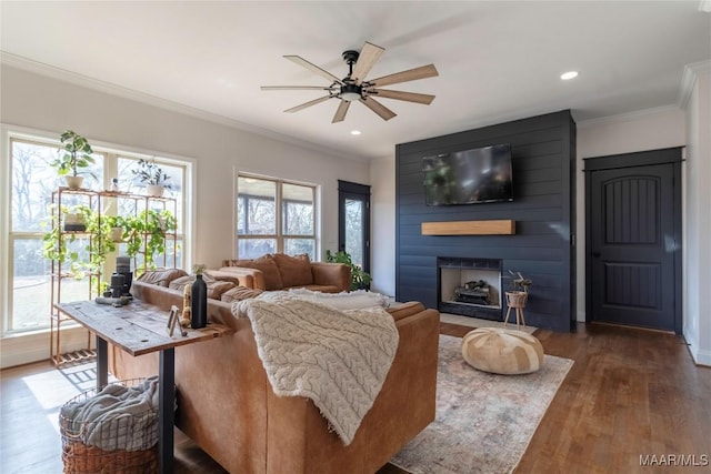 living room with a fireplace, ornamental molding, dark hardwood / wood-style floors, and ceiling fan