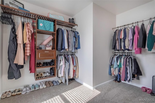 walk in closet with carpet flooring