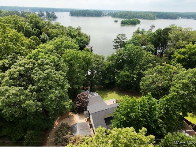 555 Shady Acres Dr, Titus, AL 36080 - photo 1