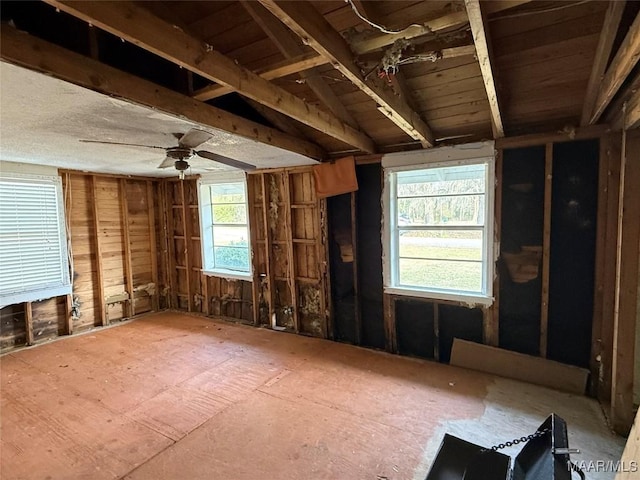 miscellaneous room with ceiling fan