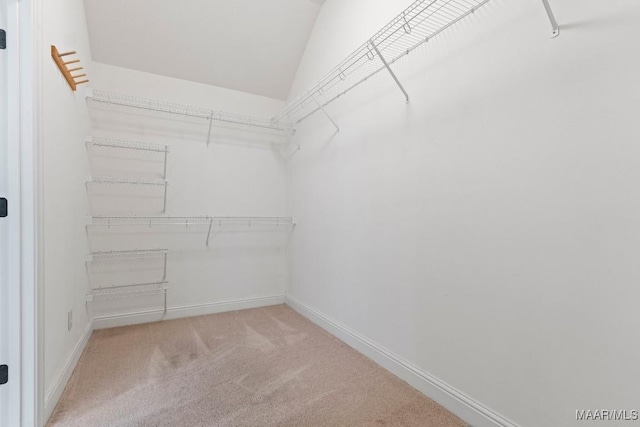 walk in closet featuring carpet
