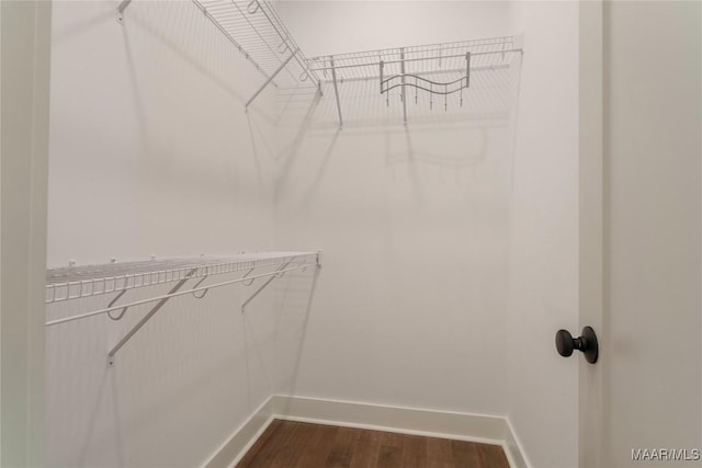 walk in closet with hardwood / wood-style floors