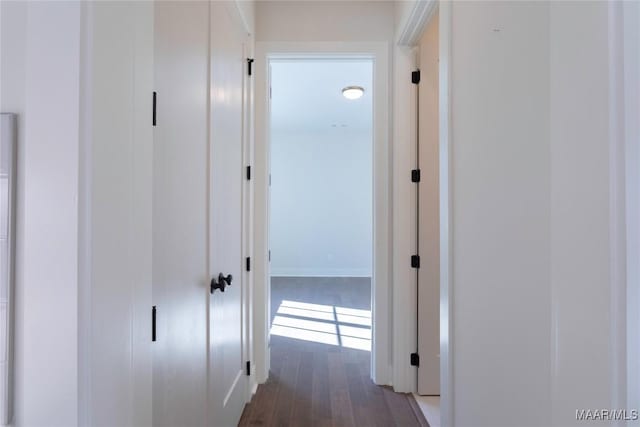 hall with dark wood-type flooring