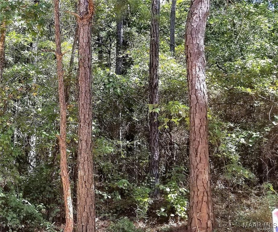 000 Cotton Ln, Deatsville, AL 36022