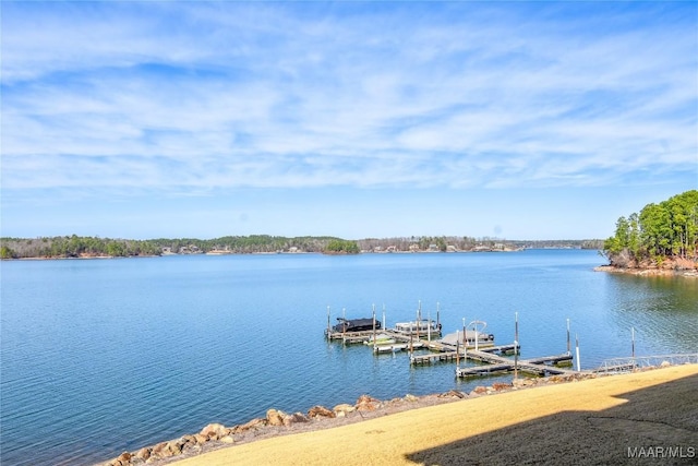 dock area with a water view