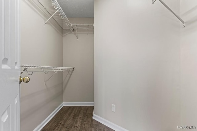 walk in closet with dark hardwood / wood-style flooring