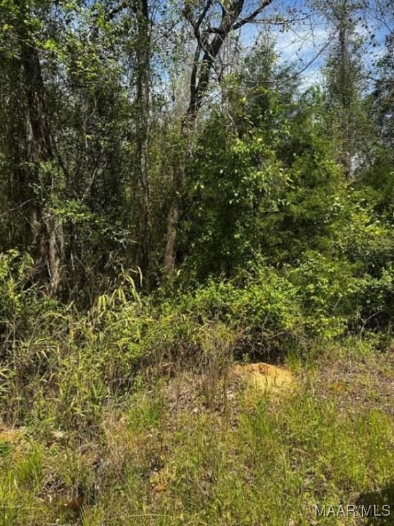 0 County Road 40th Rte W, Prattville, AL 36067