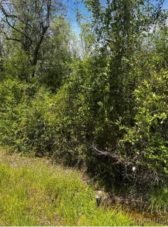0 County Road 40th Rte W, Prattville, AL 36067