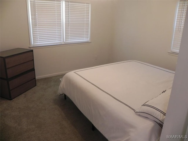 bedroom with carpet flooring