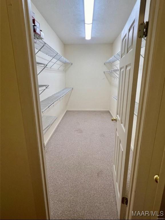 walk in closet with light colored carpet