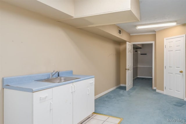 laundry room with sink and light carpet