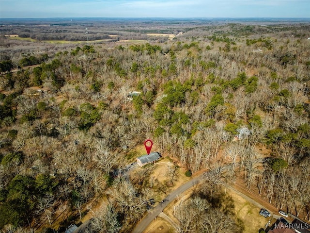 drone / aerial view