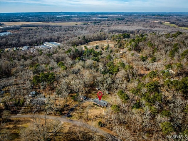 drone / aerial view