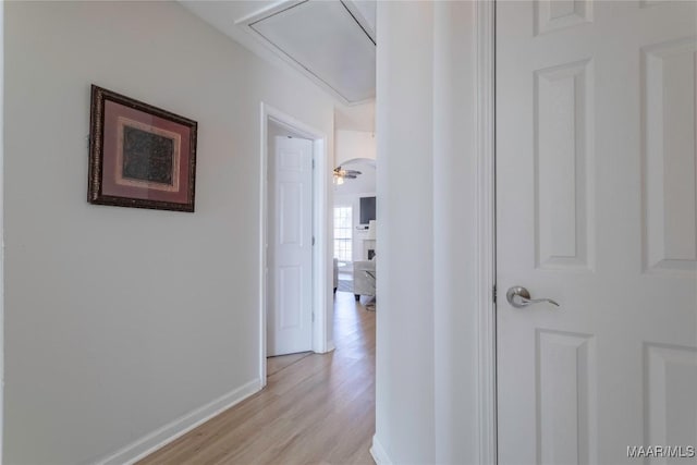 corridor featuring light hardwood / wood-style floors