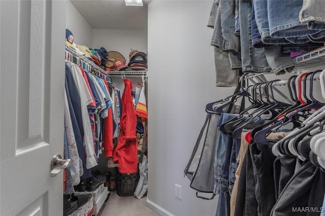 view of walk in closet