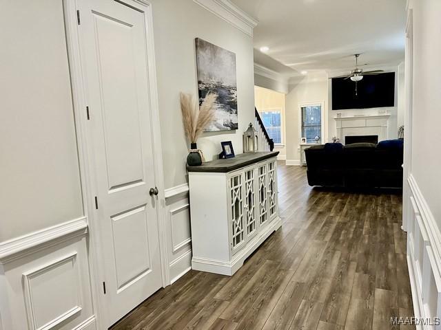 corridor featuring crown molding and dark hardwood / wood-style floors